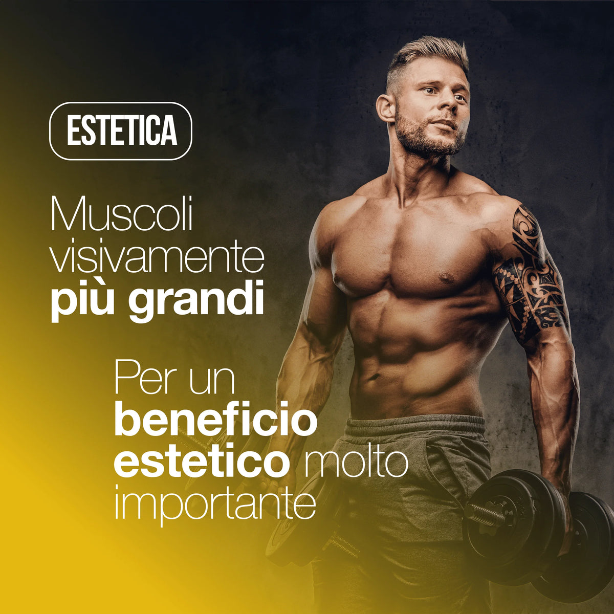 [2PCS PROMO] Creatine Monohydrate 120 Tablets of 3000mg Creatin Pura per dose. Creatine Monohydrate for Muscle Mass and Energy Boost. Creatine Pre and Post Workout. Creatine Made in Italy, 100% Vegan | LAGA Pharma. LAGA Healt