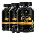 Himalaya Shilajit Gold Gummies |   Laboratory Tested in Germany |   Food Supplements |   60 Gummy Bears |   Vegan |   Without Genetic Engineering |   3-Piece Set