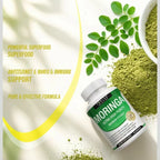 Moringa 1200mg Ultra High Purity Maximum Potency Nutritional Supplement Capsules - 90 Count