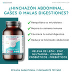 Webotanix. |   Probiotax microbiota capsules |   Symbiotic with megaflora 9 probiotics and inavea prebiotics |   With lion's mane, l-glutamine and zinc |   Digestive health and immunity |   60 capsules |   Vegan