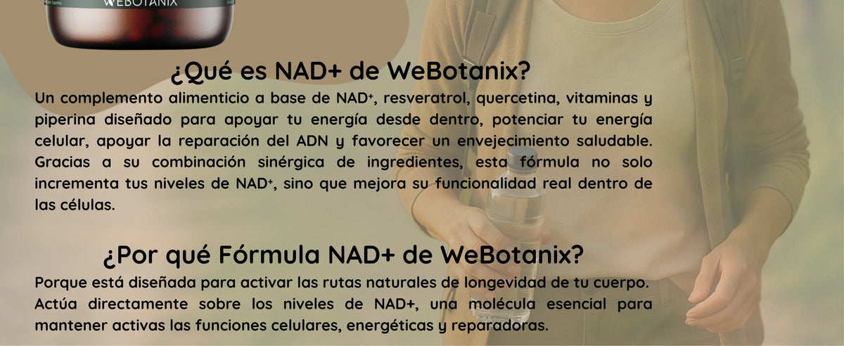 Webotanix. |   Nad+ formula with trans-resveratrol and quercetin |   60 capsules |   With vitamins b2 and b5 + piperine |   Cellular energy, repair and longevity |   Without gluten |   Vegan