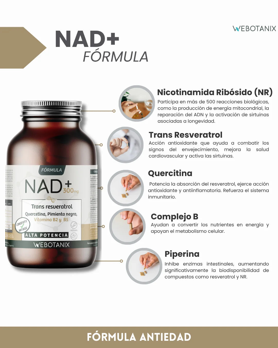 Webotanix. |   Nad+ formula with trans-resveratrol and quercetin |   60 capsules |   With vitamins b2 and b5 + piperine |   Cellular energy, repair and longevity |   Without gluten |   Vegan