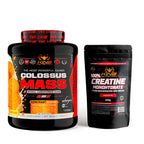 King nutrition gainer colossus mass 3kg protein creatine carbohydrates + 200g creatine monohydrate