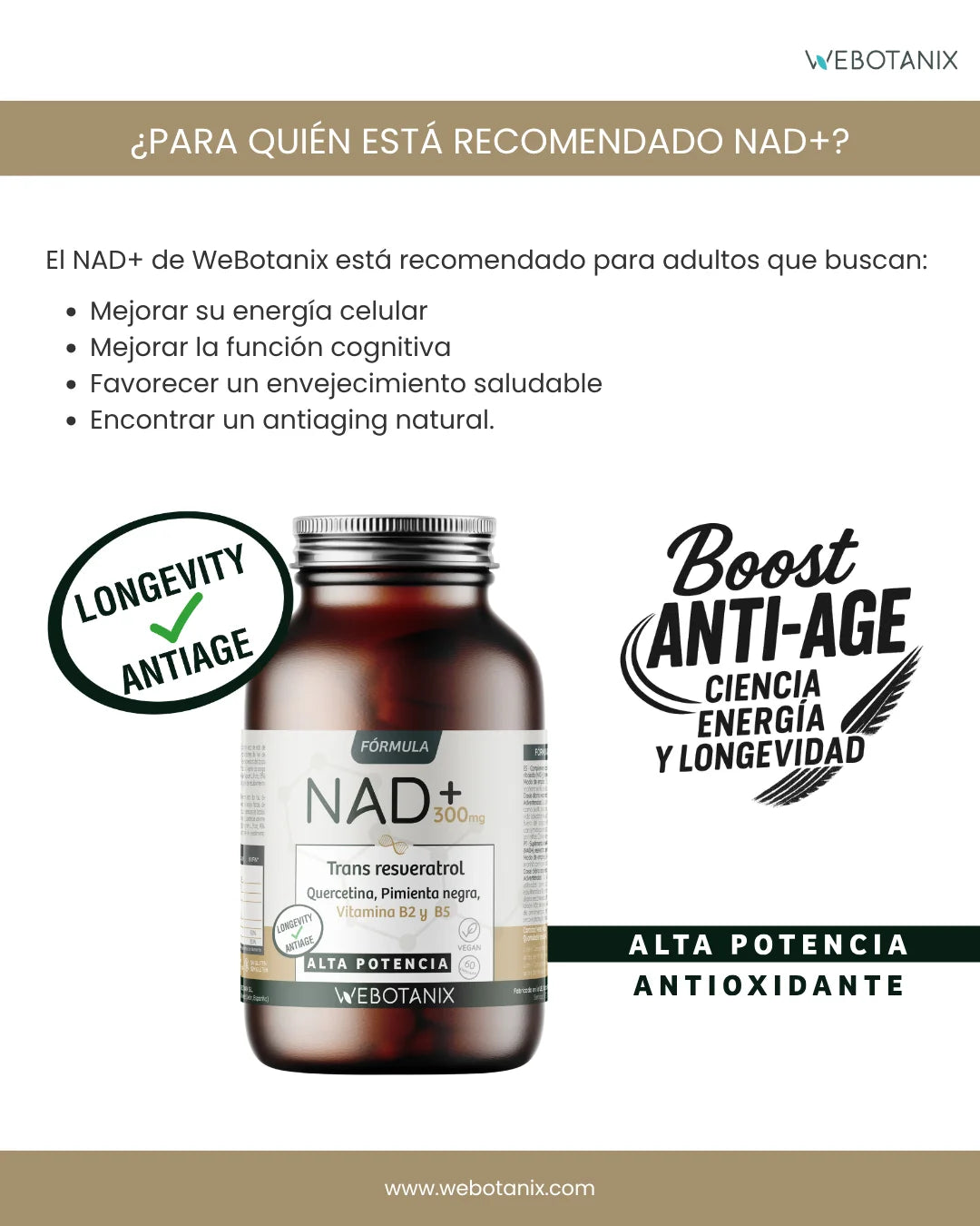 Webotanix. |   Nad+ formula with trans-resveratrol and quercetin |   60 capsules |   With vitamins b2 and b5 + piperine |   Cellular energy, repair and longevity |   Without gluten |   Vegan