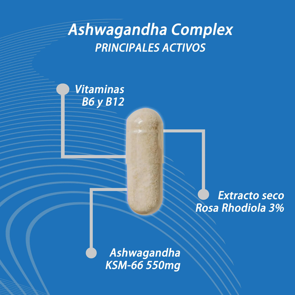 Primal assault |   Ashwagandha ksm-66 - rhodiola rosea vit b6 b12 - indian ginseng bio-available with 5% whitanolides and vitamins b6 and b12-60 capsules
