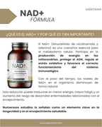 Webotanix. |   Nad+ formula with trans-resveratrol and quercetin |   60 capsules |   With vitamins b2 and b5 + piperine |   Cellular energy, repair and longevity |   Without gluten |   Vegan