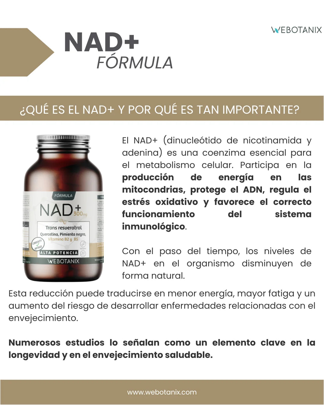 Webotanix. |   Nad+ formula with trans-resveratrol and quercetin |   60 capsules |   With vitamins b2 and b5 + piperine |   Cellular energy, repair and longevity |   Without gluten |   Vegan