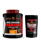 King nutrition gainer colossus mass 3kg protein creatine carbohydrates + 200g creatine monohydrate