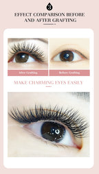 DeceMars 4D - W Shaped Eyelash Extension (12line/Tray)