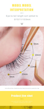 DeceMars YY Shape  Black Brown Eyelashes Extensions Two Tip Lashes C/D Curl  High Quality  Idividual