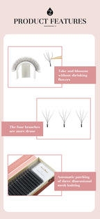 DeceMars 4D - W Shaped Eyelash Extension (12line/Tray)