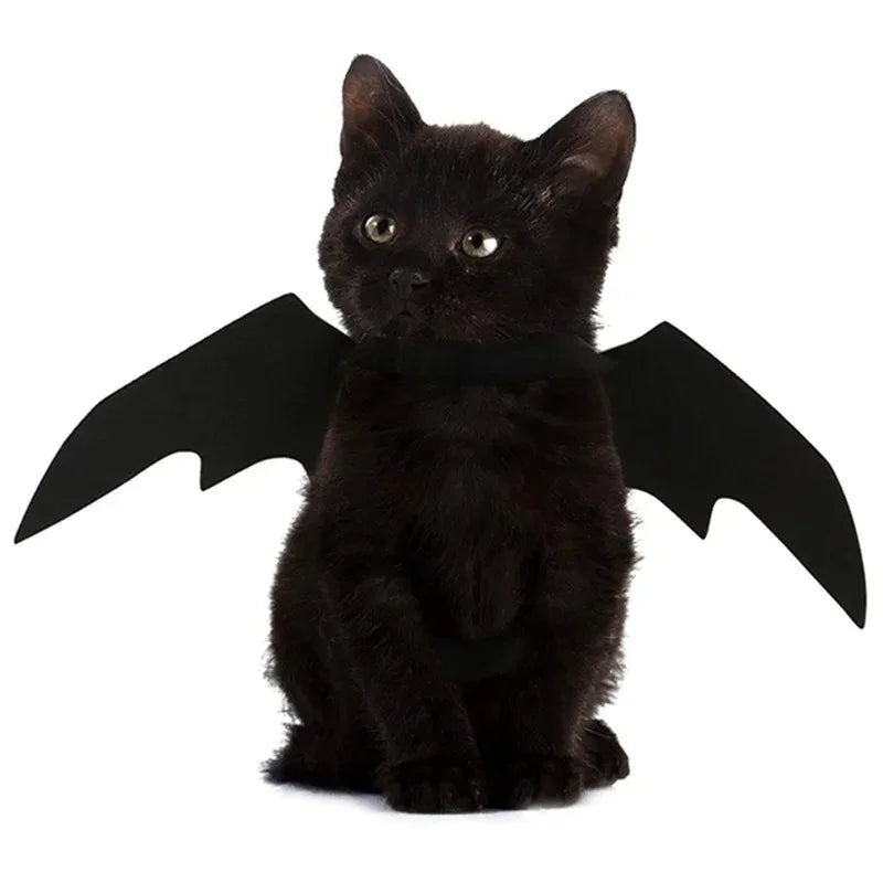 Halloween Cute Pet Clothes Black Bat Wings Harness Costume Cosplay Cat Kitten Dog Puppy Dress Kawaii Pet Clothes Party Gift