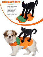 Halloween Pet Costume Pumpkin Black Cat Costumes for Dogs Pets Party Cosplay Clothing Halloween Costume for Small To Large Dogs