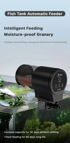 Automatic Fish Feeder With Timer IP66 Waterproof Auto Fish Tank Feeder 100ml Capacity Food Dispenser For Fish/Turtle
