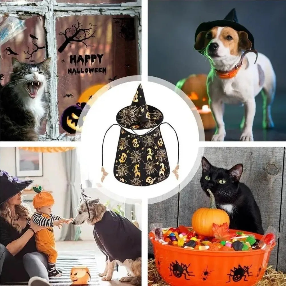 Funny Pumpkin Pet Halloween Costumes Cape Adjustable Soft Halloween Dog Cloak Hat Bat Black Cats Cosplay Clothes Cats