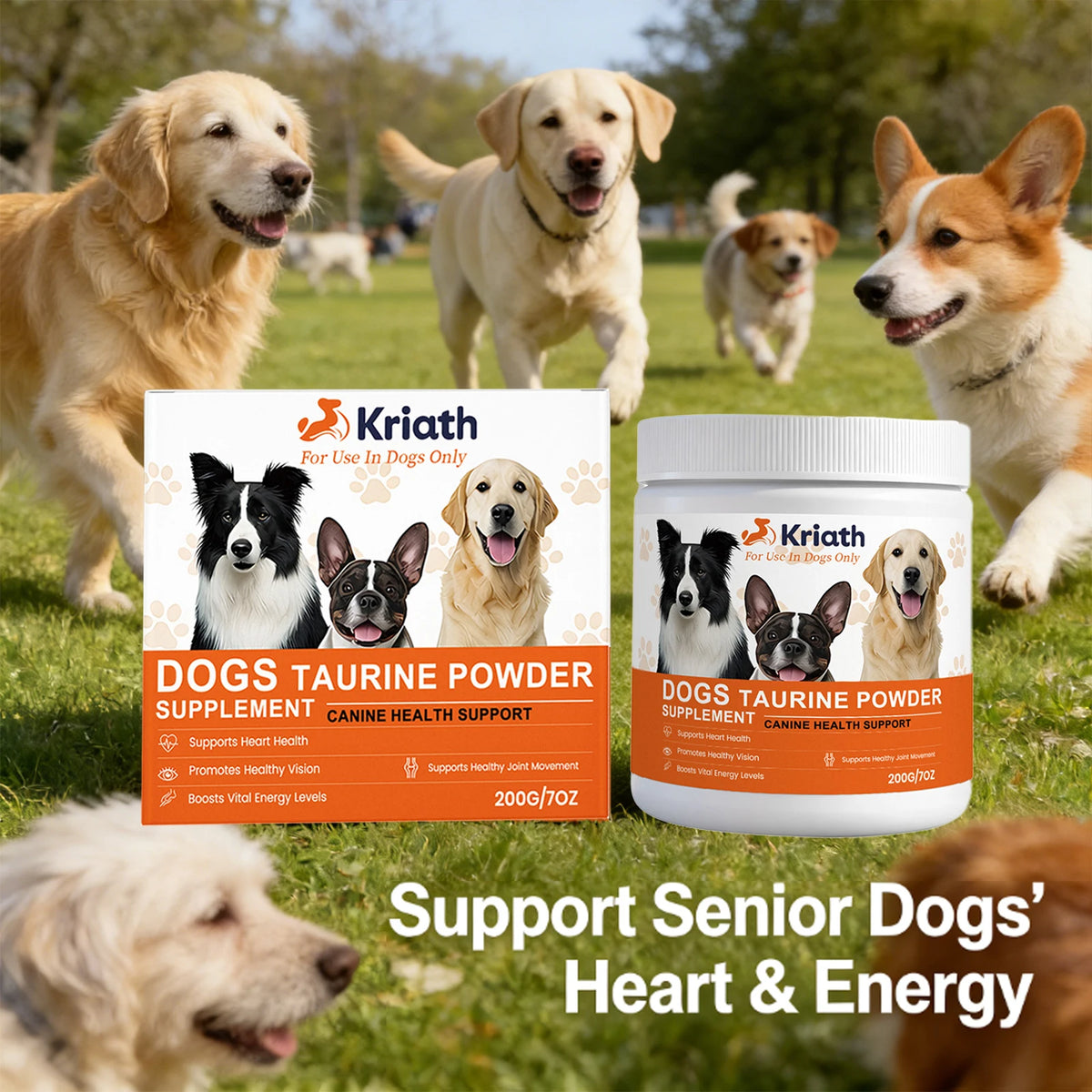 Dogs Taurine Powder Support Heart Health Boosts Vital Energy Levels Maintain Healthy Joint Movement Daily Nutrition Supplements