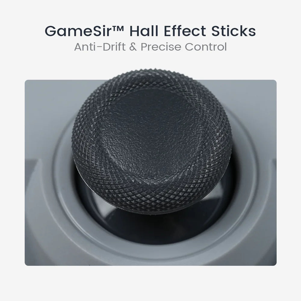 GameSir Tegenaria Lite Wired Gamepad, Dual Rumble Motors, Hall Effect Sticks, 1000Hz Polling, for Nintendo Switch 2, PC