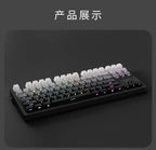 2026 Original Daylight Keycaps PTB Translucent, Side-engraved Oem 135 Keys, Customized To Fit 60/84/98/108 Mechanical Keyboards.