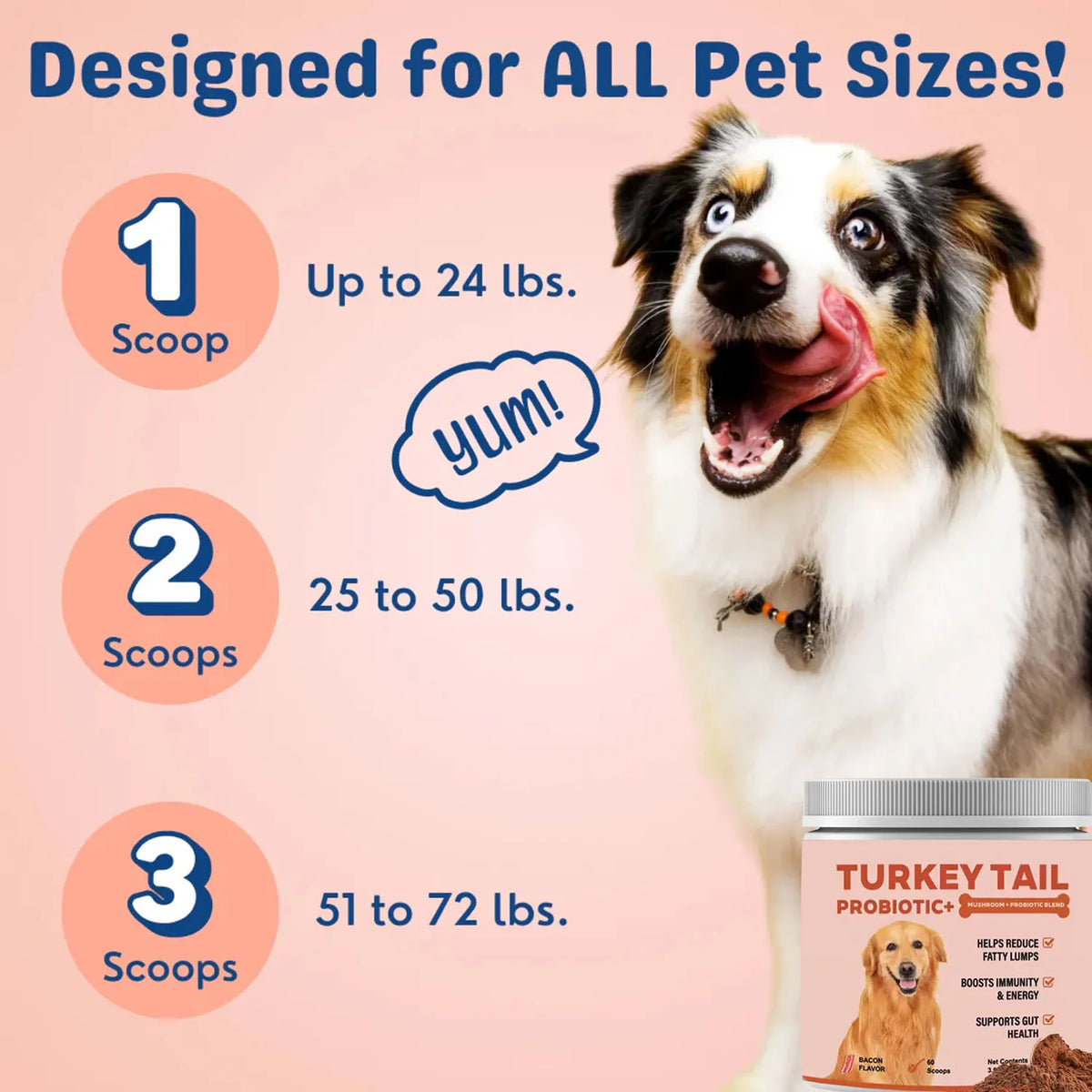 Turkey Tail Mushroom for Dogs - Lipoma Treatment for Dogs - Mushroom Supplement with Immune Support for Lipoma, Lumps & Bumps