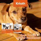 Dogs Taurine Powder Support Heart Health Boosts Vital Energy Levels Maintain Healthy Joint Movement Daily Nutrition Supplements