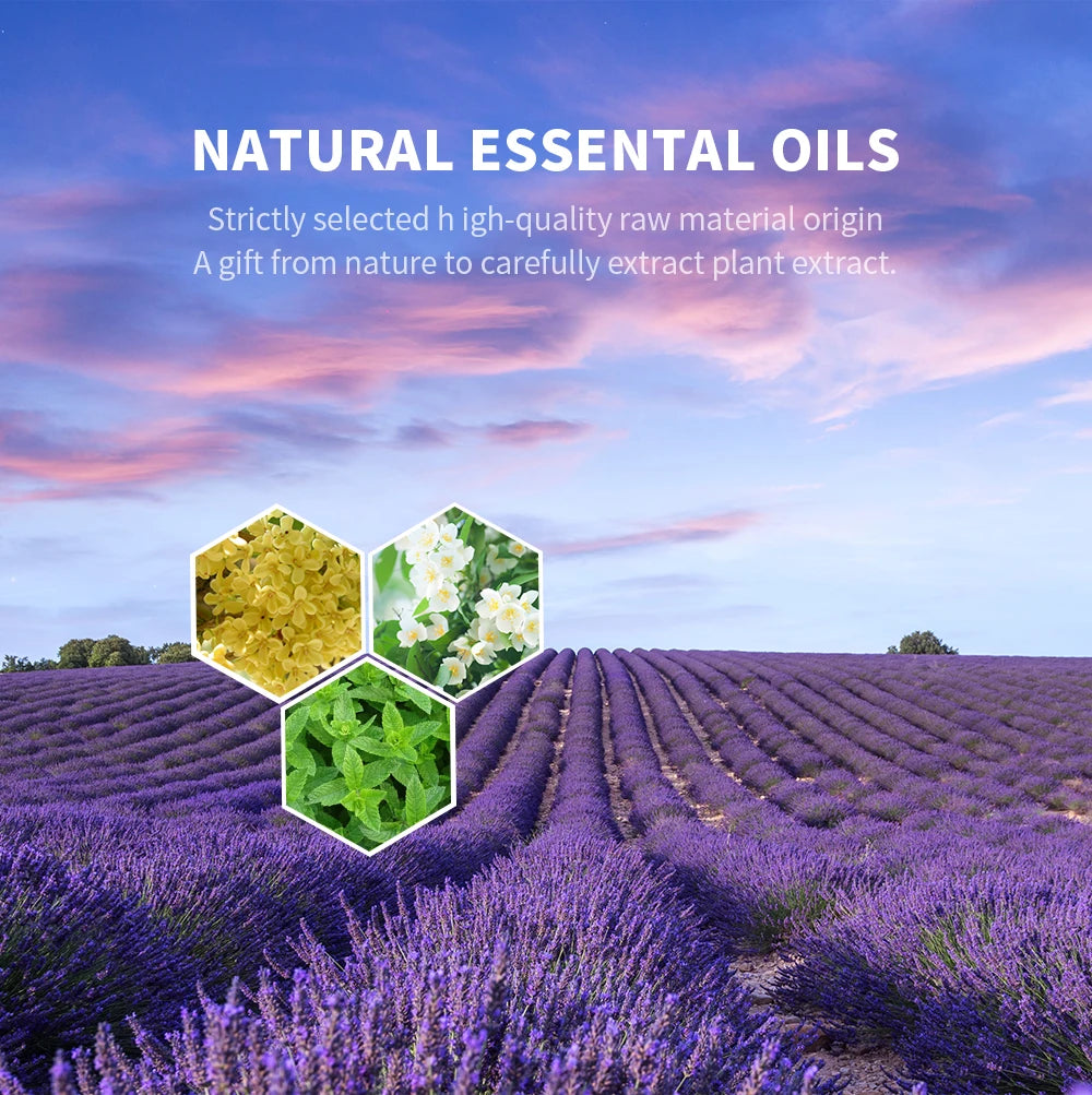NAMSTE Electric Aromatic Hotel Essential Oil Sale Pure Plant Diffuser Essential Oils Oasis Fragrant Device Home Air Freshener