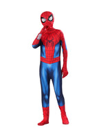 Hot‑selling Superhero Zentai Cosplay Suit Theme Outfit Halloween Party Costume Collectible Holiday Gift For Cos Fans