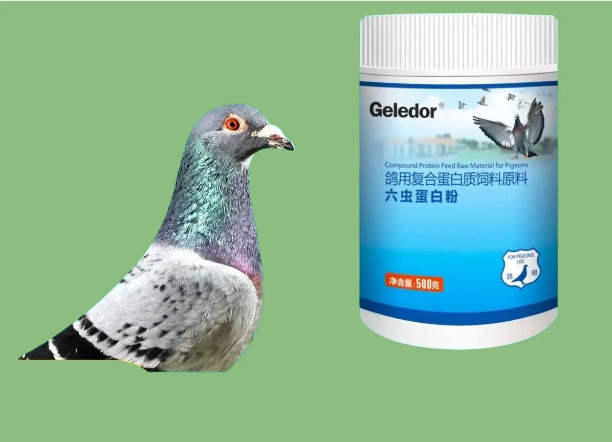 500g Racing Pigeon Protein Powder Energy Recovery Muscle Strength Endurance Nutrition Supplement Feather Care Bone Support