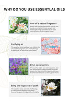 NAMSTE Electric Aromatic Hotel Essential Oil Sale Pure Plant Diffuser Essential Oils Oasis Fragrant Device Home Air Freshener