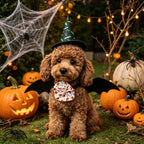 3 PCS Halloween Pet Costume Accessories,Witch Hat,Bat Wing Harness,Skull Bow Tie,Halloween Decors Dress Up for Cat Small Dog
