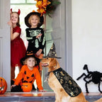 Funny Pumpkin Pet Halloween Costumes Cape Adjustable Soft Halloween Dog Cloak Hat Bat Black Cats Cosplay Clothes Cats