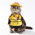 Halloween Dog Costumes Funny Dog Clothes Adjustable Pet Cat Cosplay Costume Sets Novelty Clothing For Medium Large Dogs Pug 2023