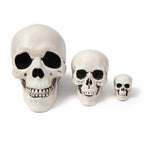 Halloween Skull Decoration,Realistic Plastic Skull,Head Skeleton,Halloween Party Home Yard Decoration,Haunted House Horror Props