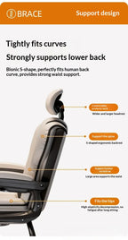 Computer Chair Gamer Chair Comfortable Ergonomic Bow-shaped Chair Sedentary Office Meeting Dormitory Chairs Home Desk Stool