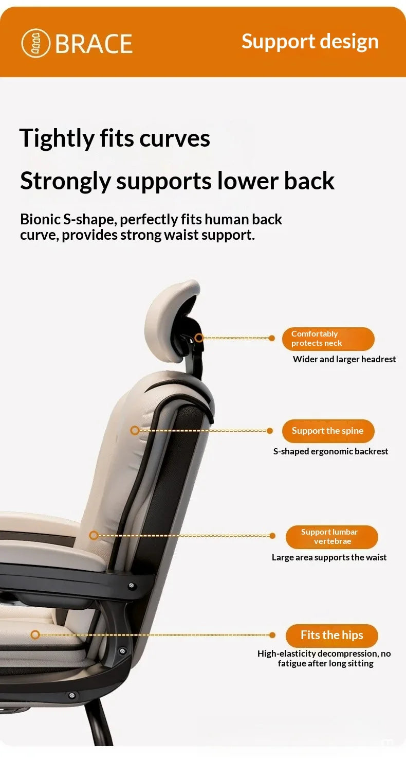 Computer Chair Gamer Chair Comfortable Ergonomic Bow-shaped Chair Sedentary Office Meeting Dormitory Chairs Home Desk Stool