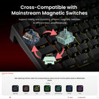 AKKO TAC75 HE Magnetic Switch Keyboard 75% Gaming Keyboards Rapid Trigger 0.005mm 8K RGB Wired Esports Custom Keyboard for Gamer