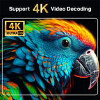 Ultra HD 4K Android TV Stick MX10-F3 Stick Mini Home TV Stick H313 Quad Core Support 2.4/5G Dual Wifi 2GB RAM 16GB ROM