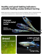 SANKii Floating Micro Pellets for Medaka, High Protein Food to Enhance Color for Viewing from Above - For Fry & Adult
