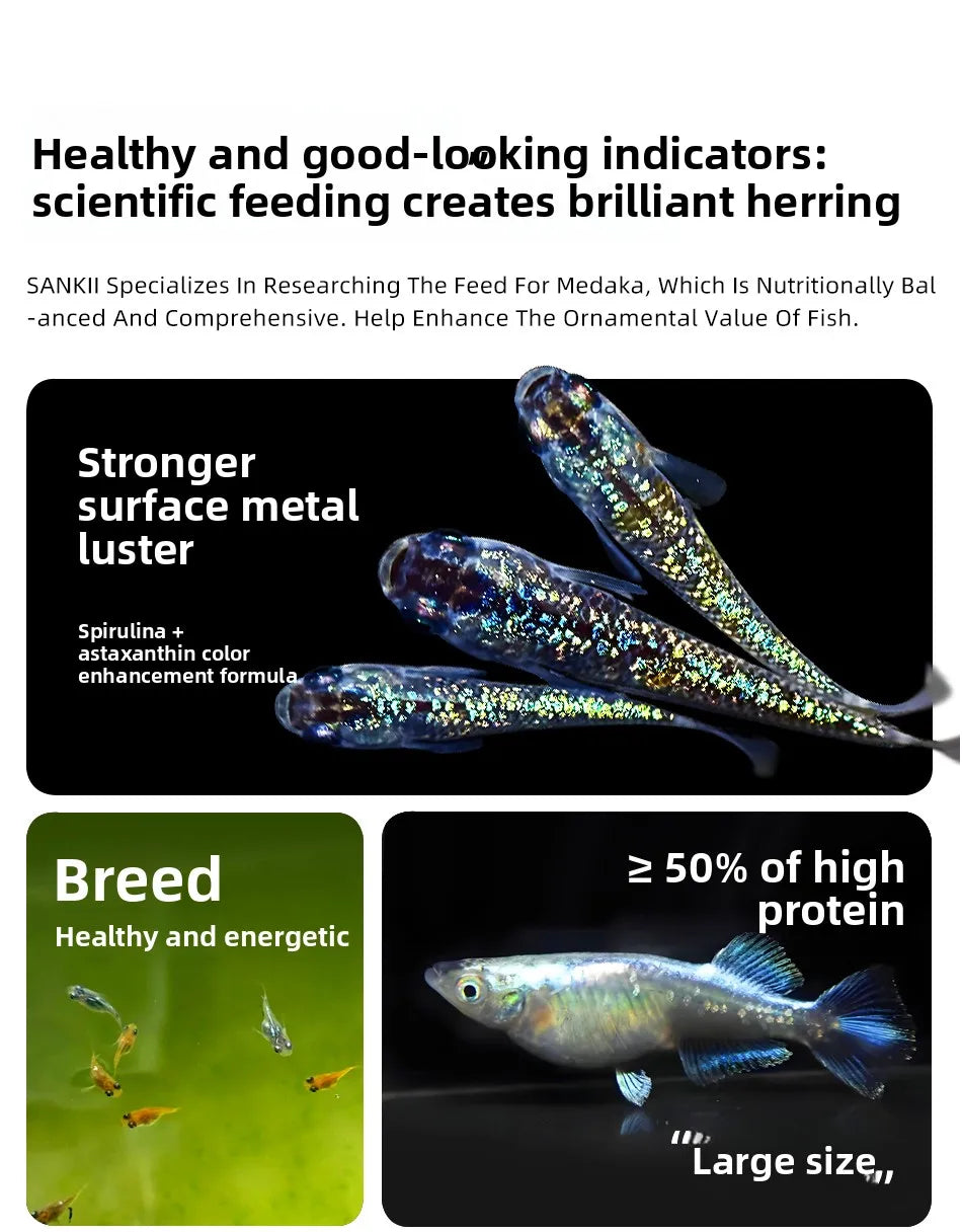 SANKii Floating Micro Pellets for Medaka, High Protein Food to Enhance Color for Viewing from Above - For Fry & Adult