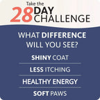 200ml Salmon Fish Oil for Pets, 21 Omega Fatty Acids, Natural Nutritional Supplement for Dogs and Cats