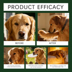 Dog Nutrition Powder Promote Digestion Balance Gut Flora Boost Vitality Improve Health Support Immune System Daily Easy Absorb