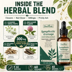Lymphatic Drainage Drops 60ml Supplement Help Bloat Relief & Immune System Health with Cleavers,Red Clover and Stillingia Root