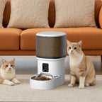 4L USB Smart Button WIFI APP Video Pet Feeder Automatic Cat Food Dispenser Bowl Dog Slow Food Feeder With Timed Camera Feeder