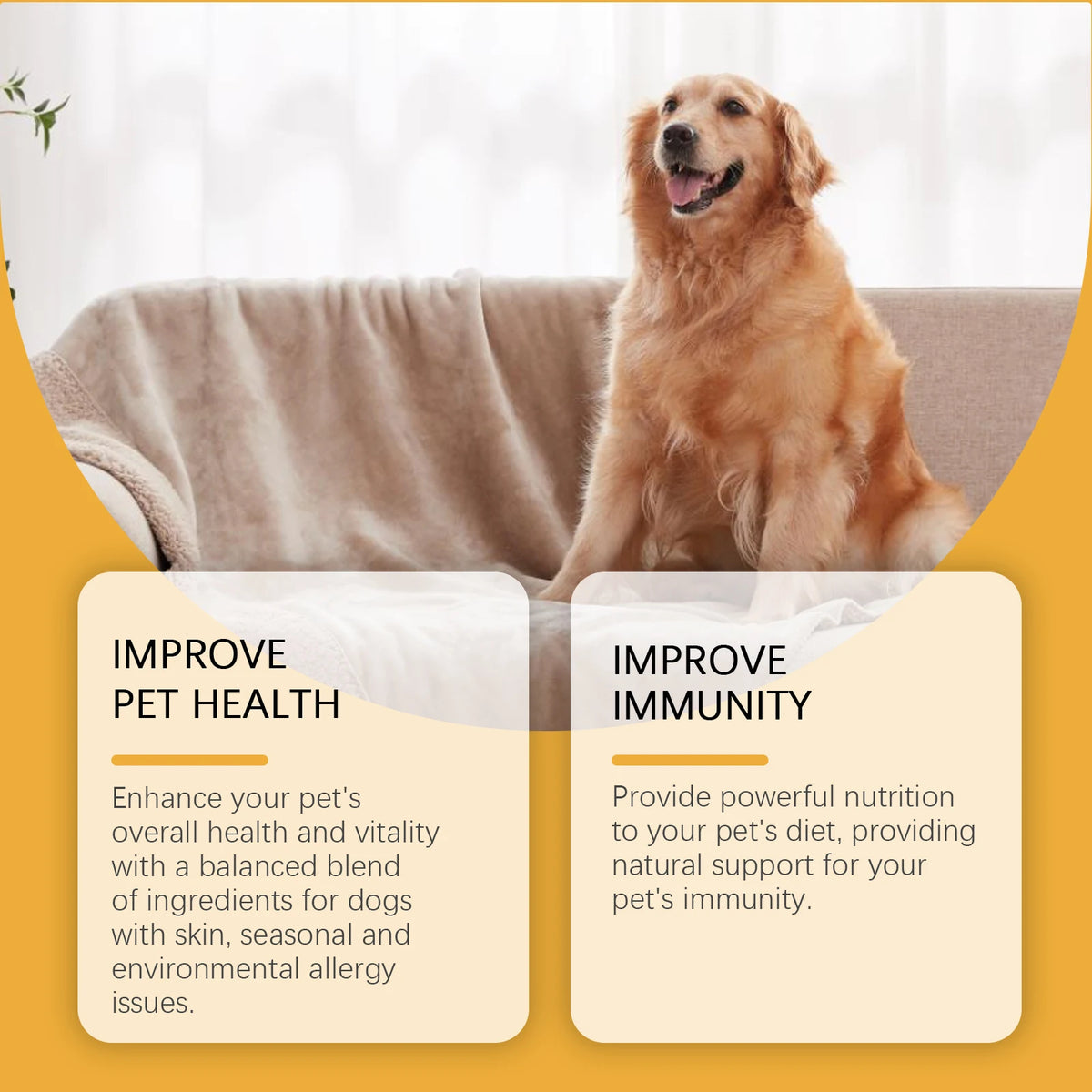 Dog Allergy Immune Dietary Supplement Natural Formula Relieve Allergic Reactions Daily Use Safe for Dogs Immune Support Liquid