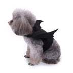 -Halloween Pet Costume - Cute Black Bat Wings Harness Costume For Cats And Dogs, Halloween Party Cosplay, Pet Supplies