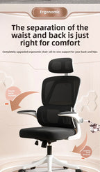 Ergonomic Home Office Chair, Comfortable Desk Chair for Students with Back Support, Long Sitting Study Chair