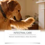 Dog Nutrition Powder Promote Digestion Balance Gut Flora Boost Vitality Improve Health Support Immune System Daily Easy Absorb
