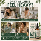 Lymphatic Drainage Drops 60ml Supplement Help Bloat Relief & Immune System Health with Cleavers,Red Clover and Stillingia Root