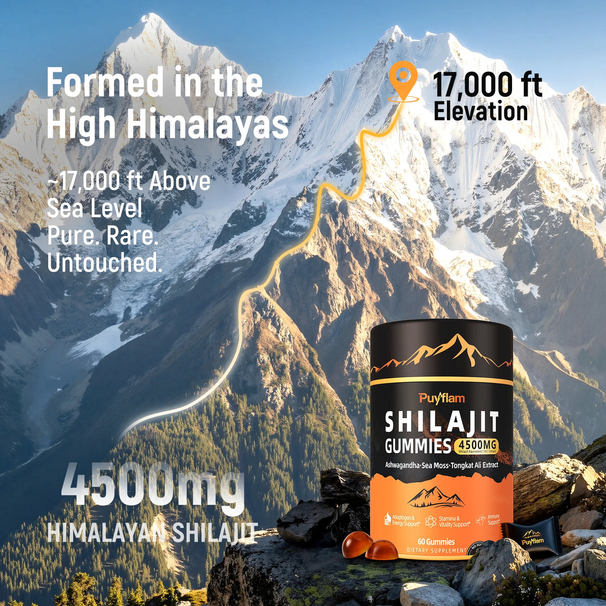 SHILAJIT GUMMIES Supplements Immune Health 4500MG