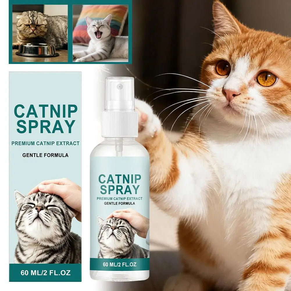 Long Lasting Cat Repellent Spray 120ml Non-Toxic Formula for Furniture Carpets Prevent Urine Marking Indoor Odor Neutralizer