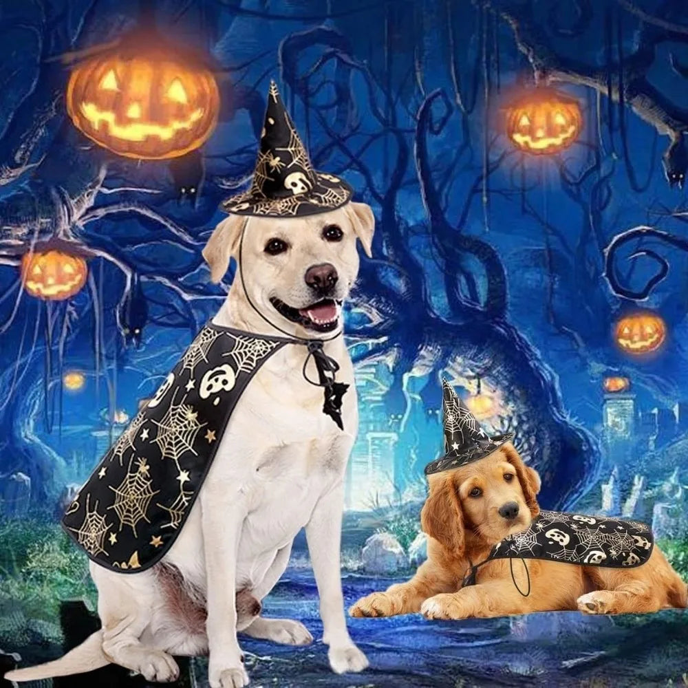 Funny Pumpkin Pet Halloween Costumes Cape Adjustable Soft Halloween Dog Cloak Hat Bat Black Cats Cosplay Clothes Cats
